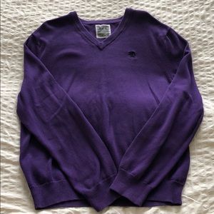 Men’s purple express V-Neck sweater